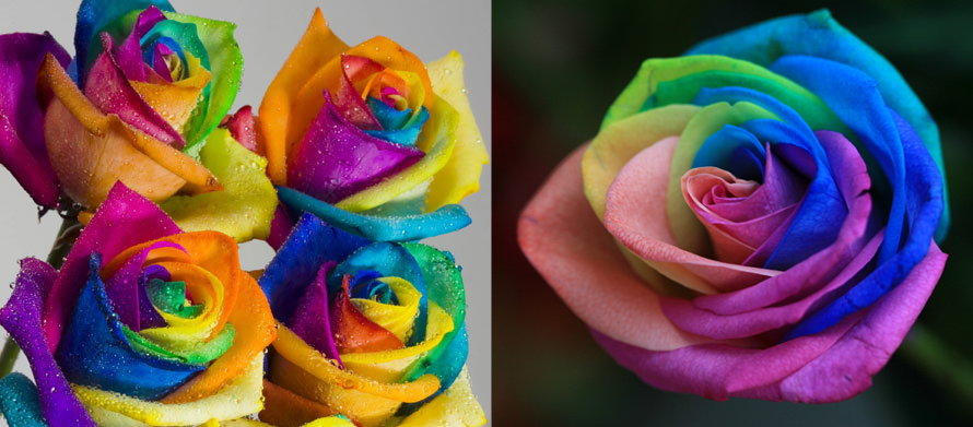 Picture 1 Picture 1