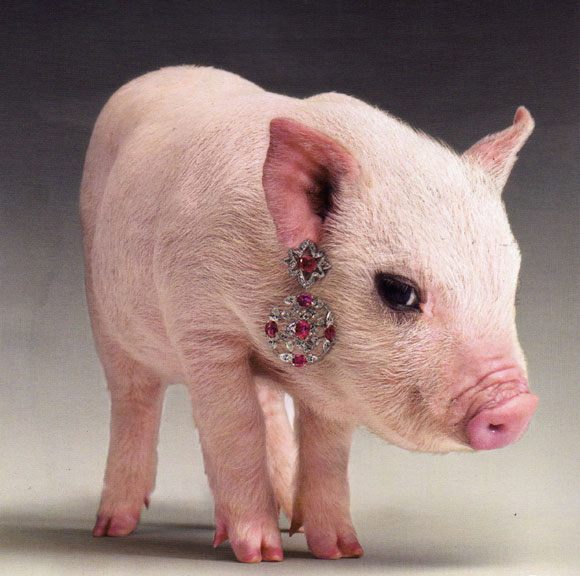 pigg