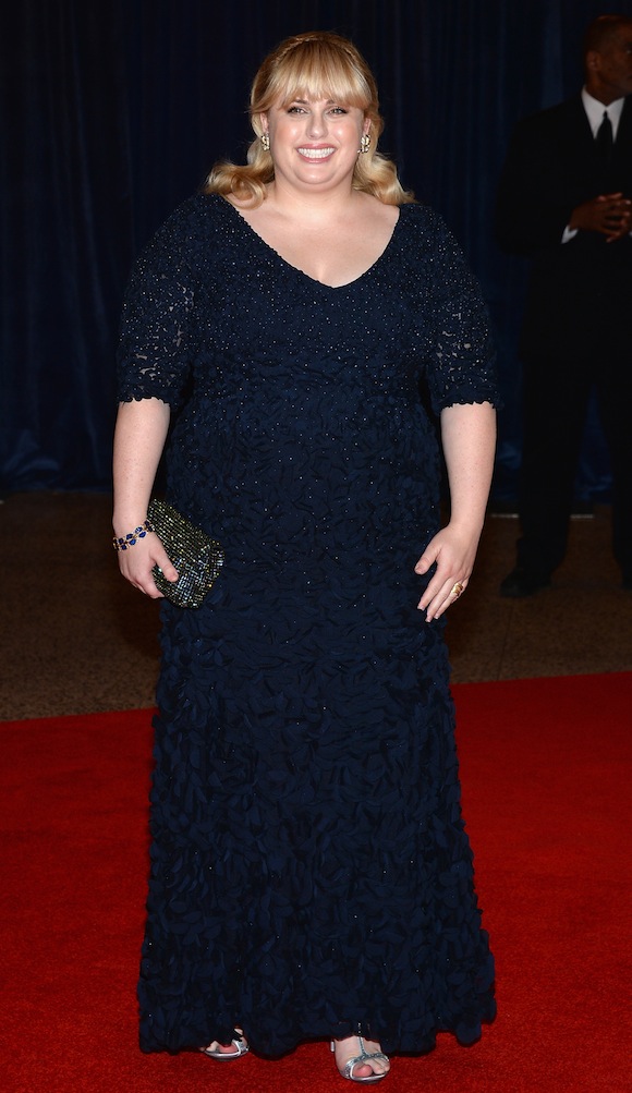 2013 White House Correspondents' Association Dinner