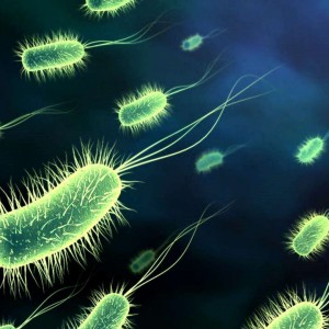 bacteria_radioativa_radioatividade