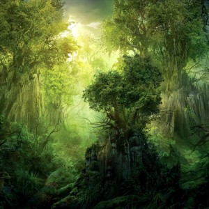 selva_mata_tropical